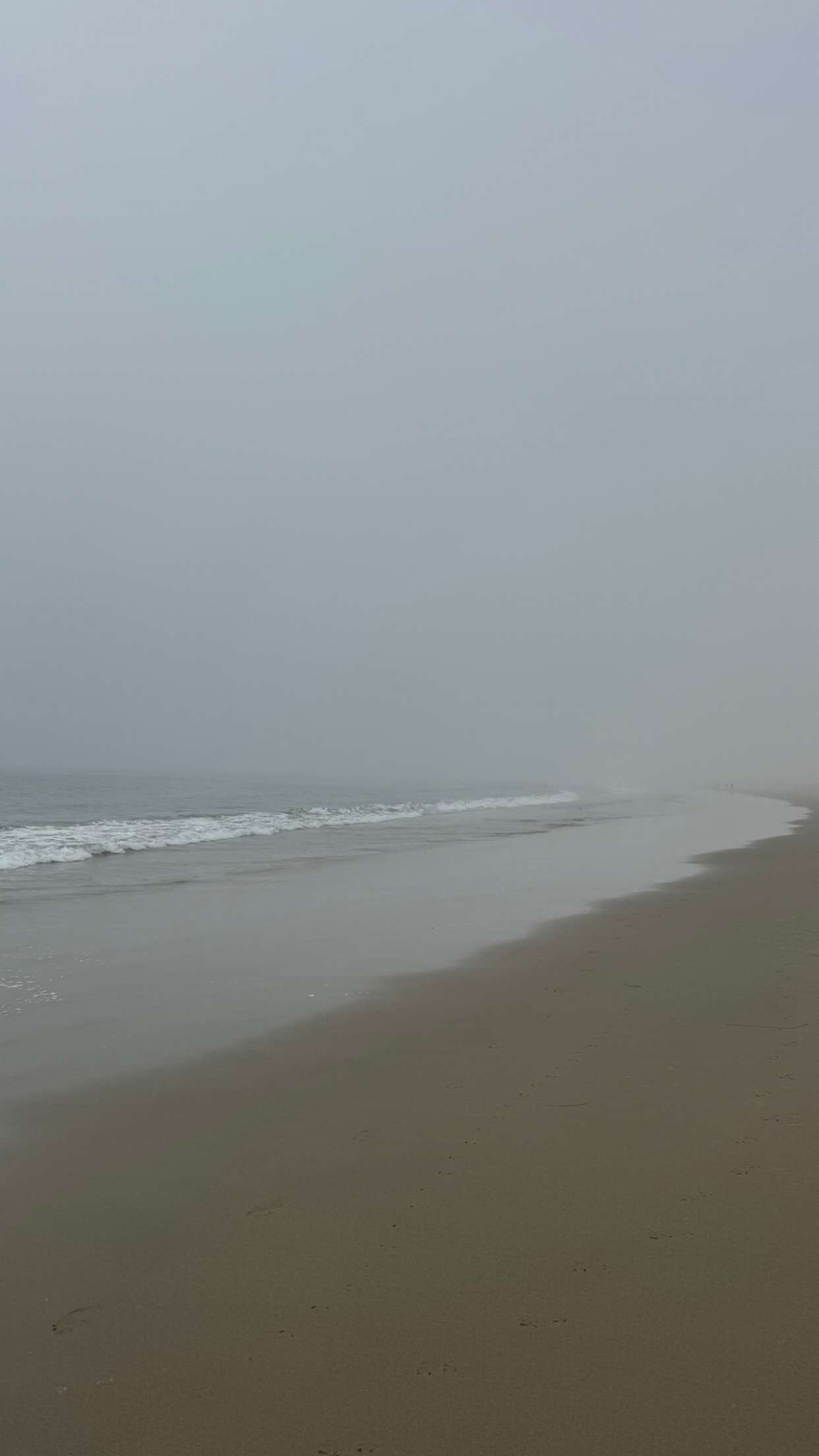 chloerosenbaum snapchat image archive image