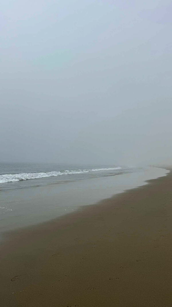 chloerosenbaum image ~ Altpins