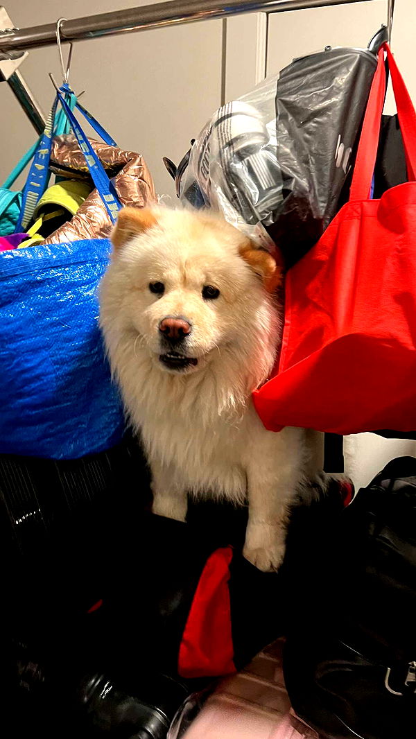 chloerosenbaum image ~ Altpins