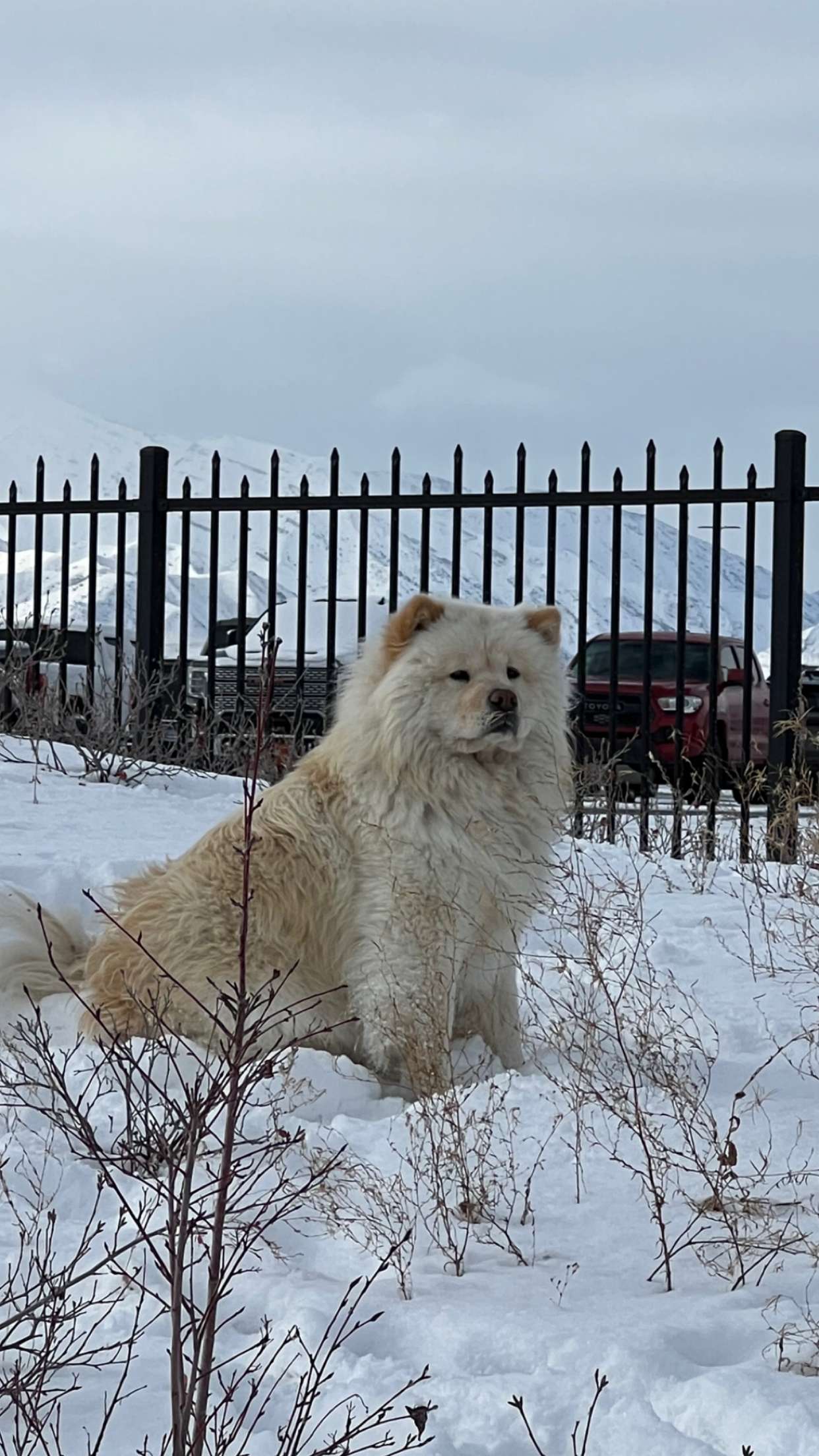 chloerosenbaum snapchat image archive image