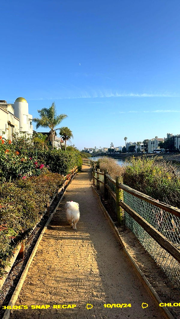 chloerosenbaum image ~ Altpins