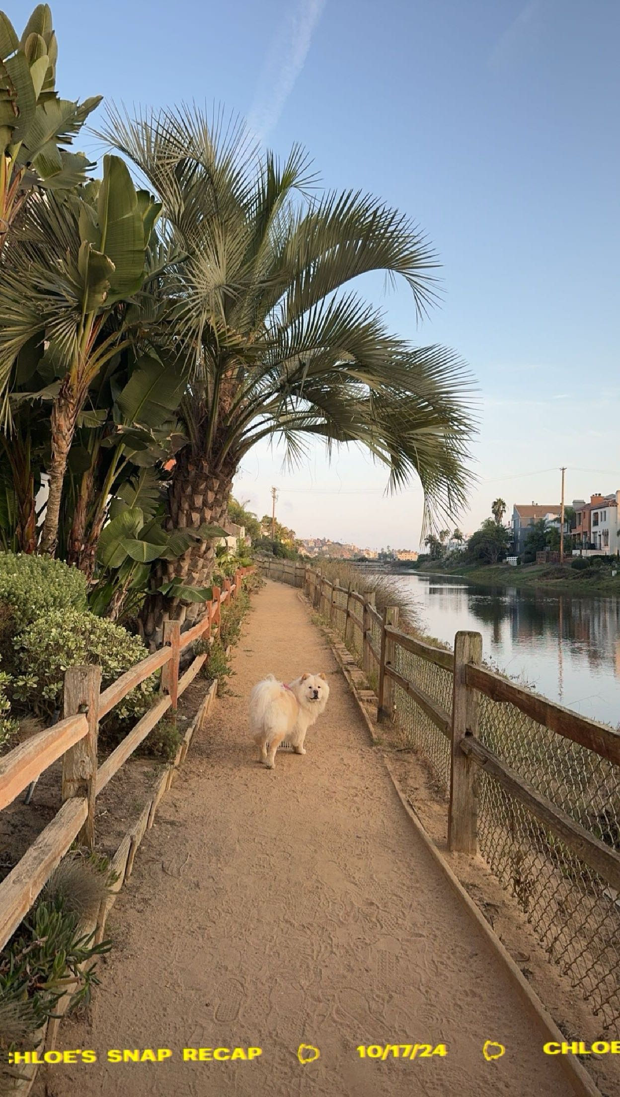 chloerosenbaum snapchat image archive image