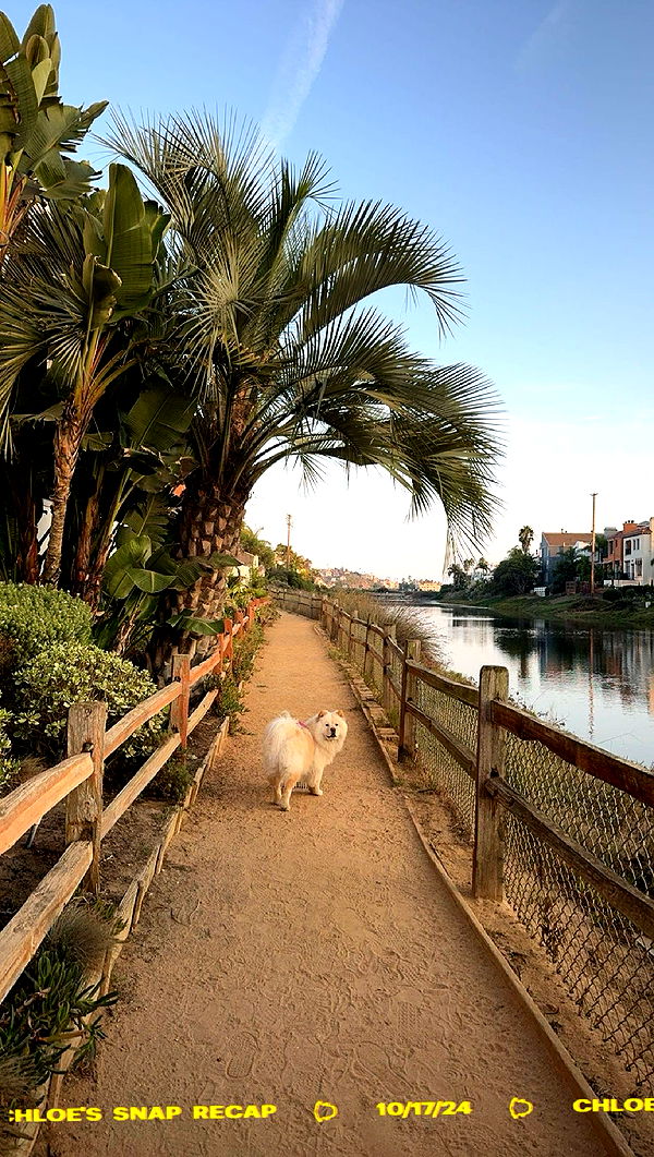 chloerosenbaum image ~ Altpins