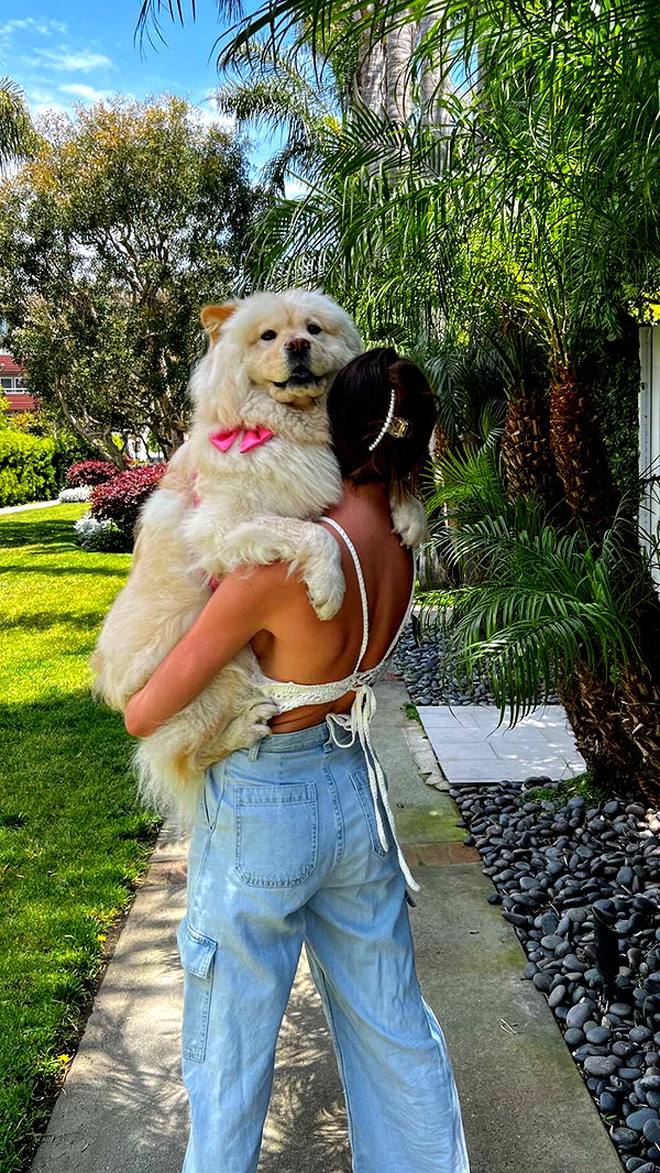 chloerosenbaum image ~ Altpins