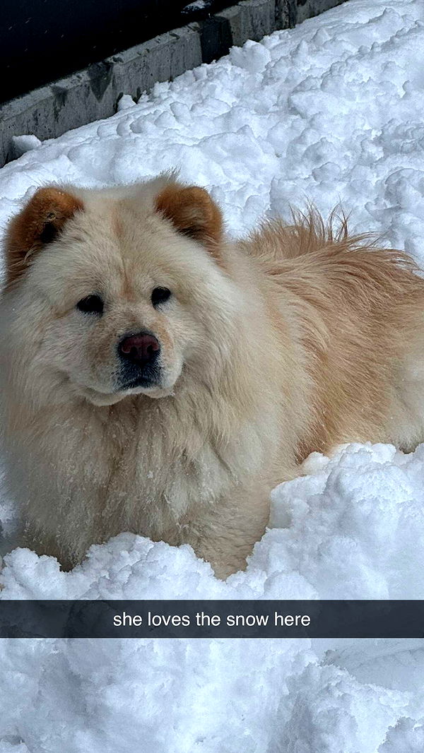 chloerosenbaum image ~ Altpins