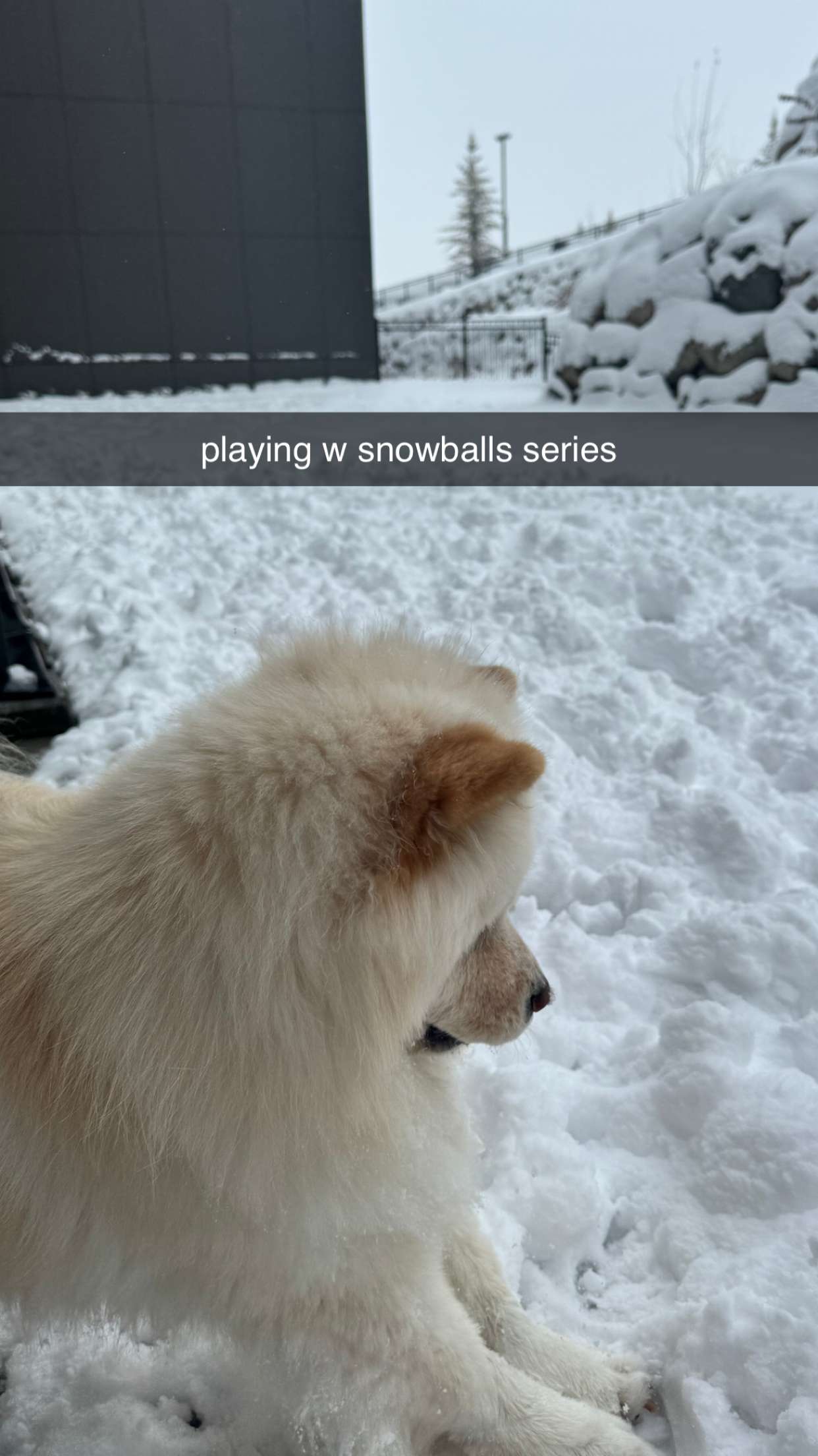 chloerosenbaum snapchat image archive image