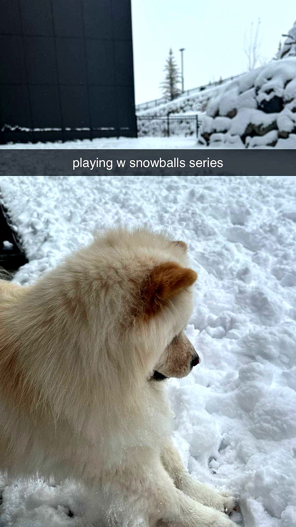 chloerosenbaum image ~ Altpins