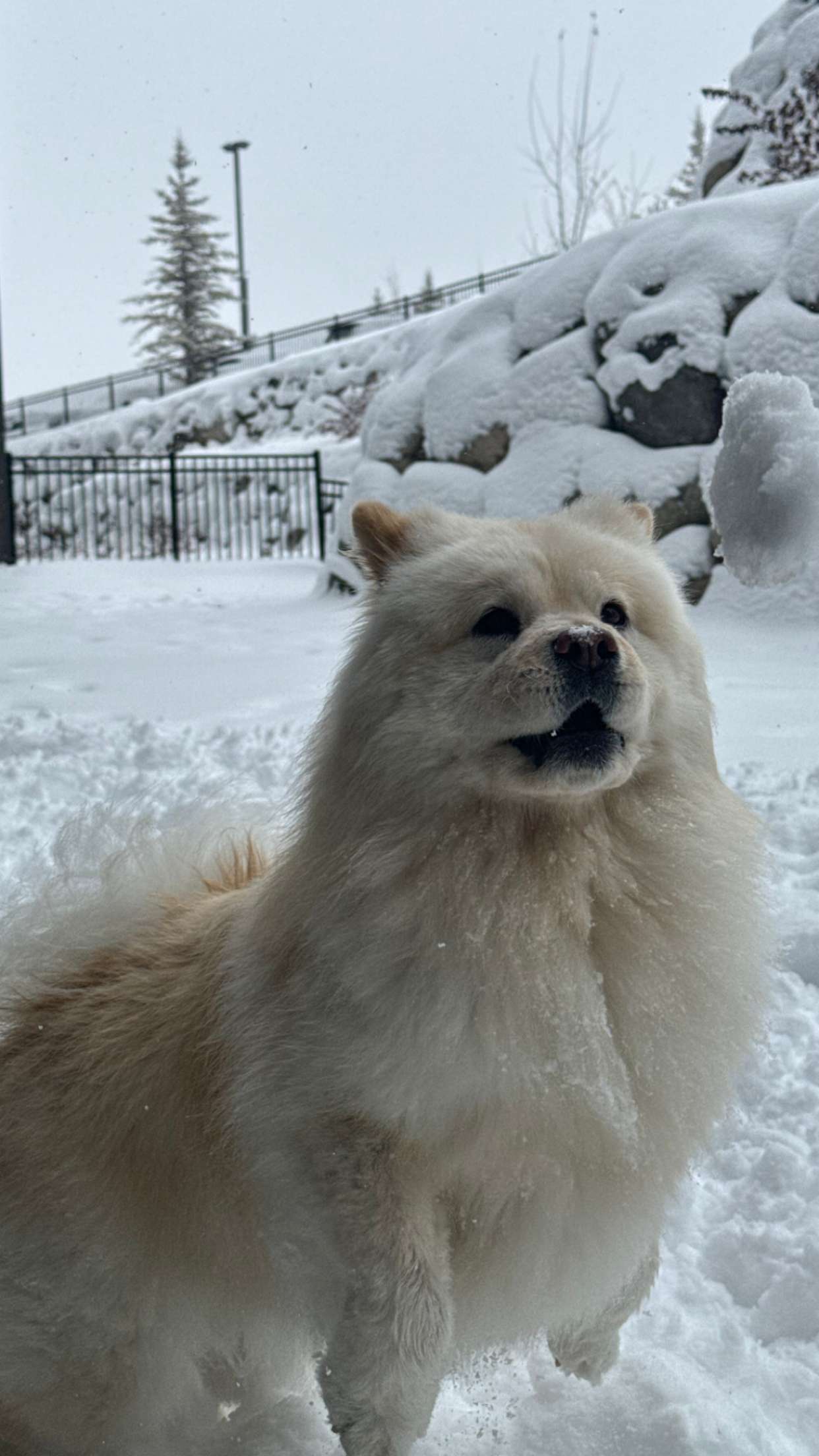 chloerosenbaum snapchat image archive image