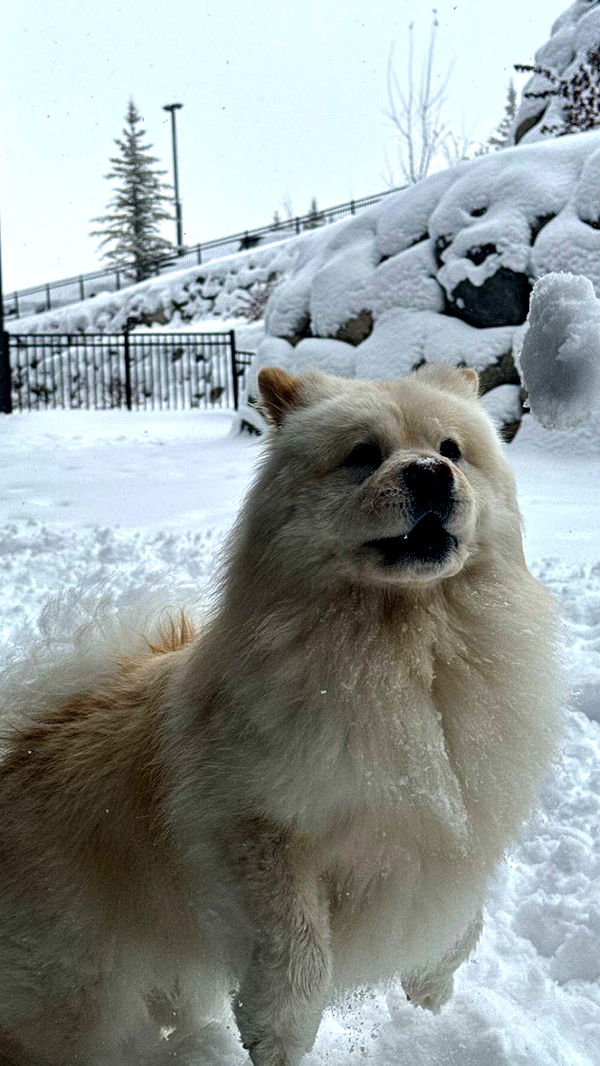 chloerosenbaum image ~ Altpins