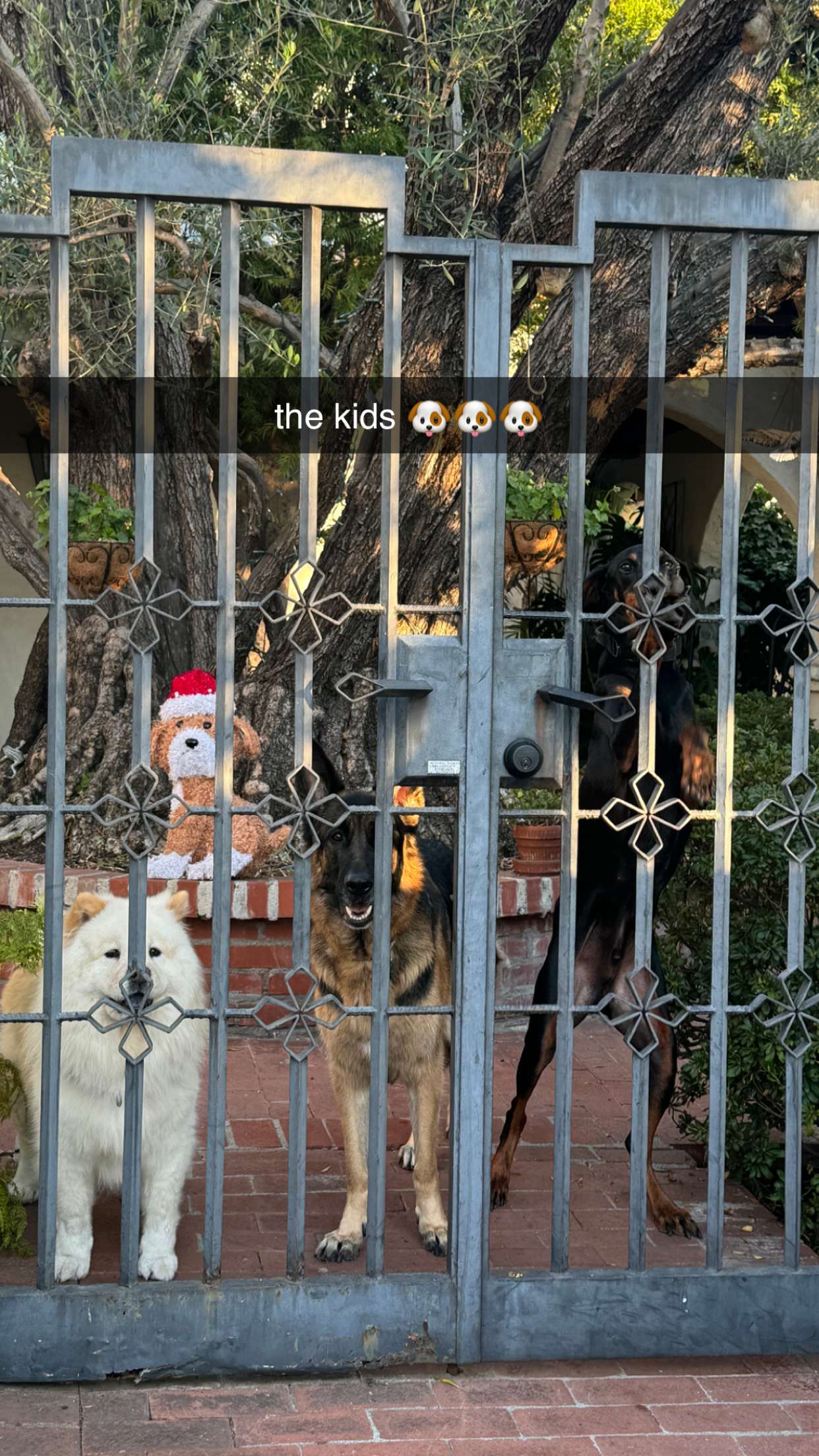 chloerosenbaum snapchat image archive image