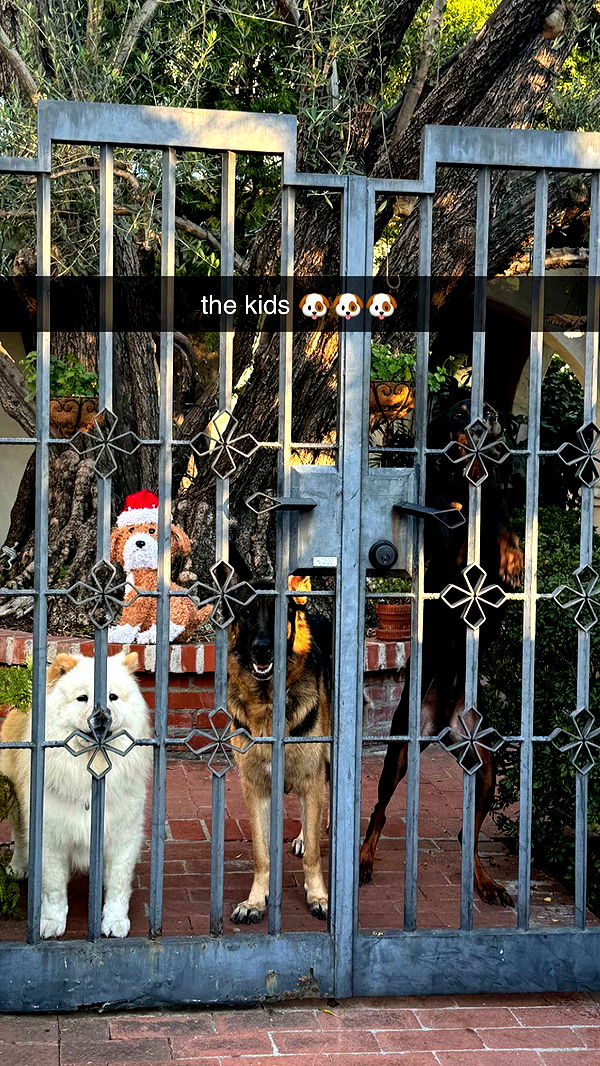 chloerosenbaum image ~ Altpins