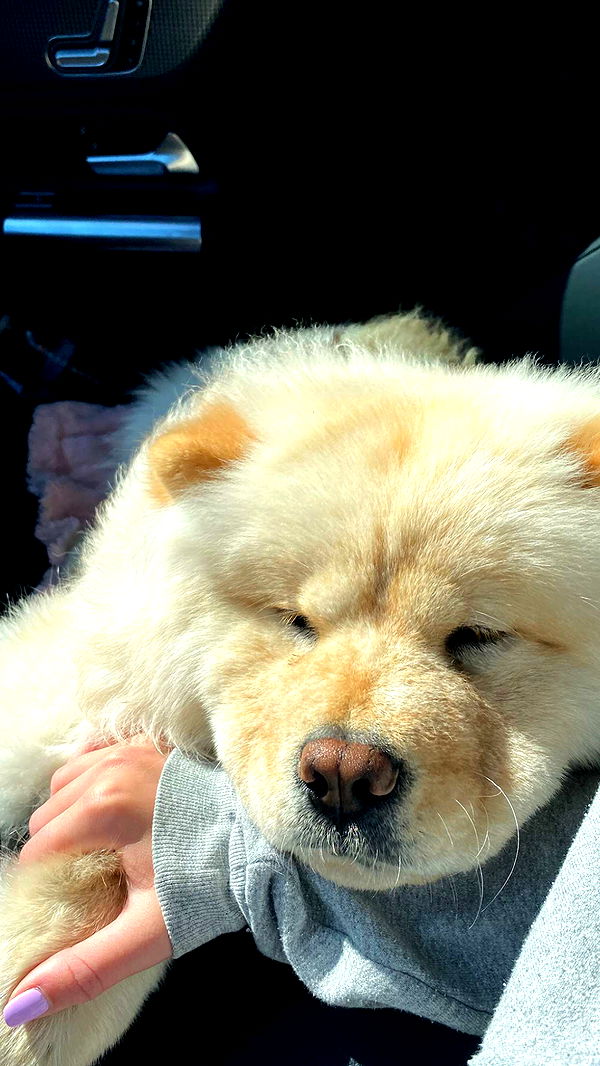 chloerosenbaum image ~ Altpins