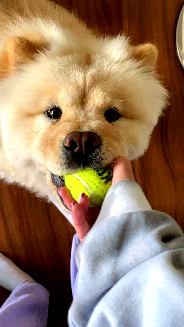 chloerosenbaum image ~ Altpins