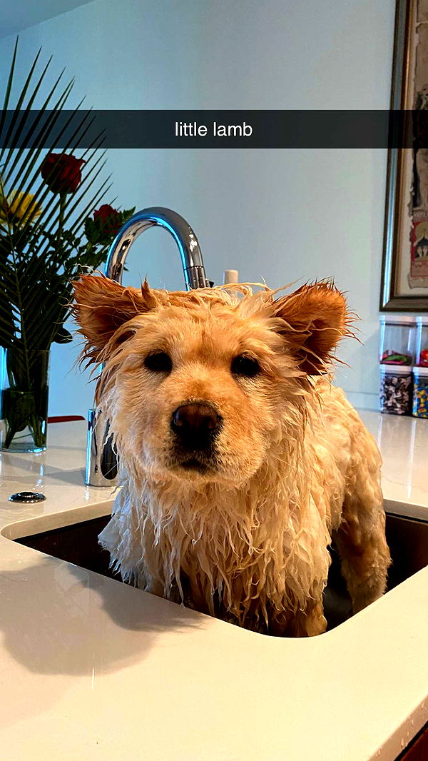 chloerosenbaum image ~ Altpins