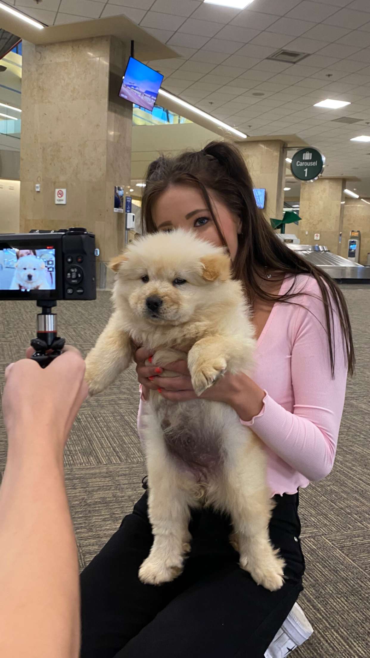 chloerosenbaum snapchat image archive image