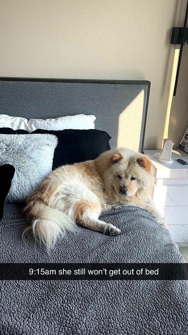 chloerosenbaum image ~ Altpins