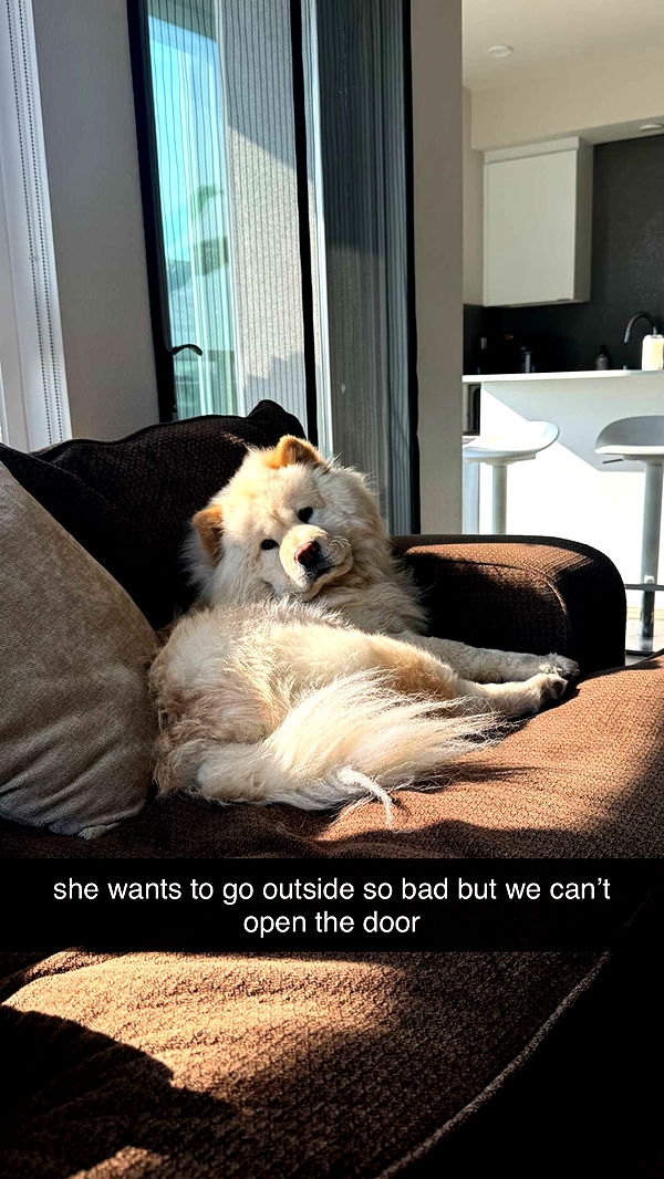 chloerosenbaum image ~ Altpins