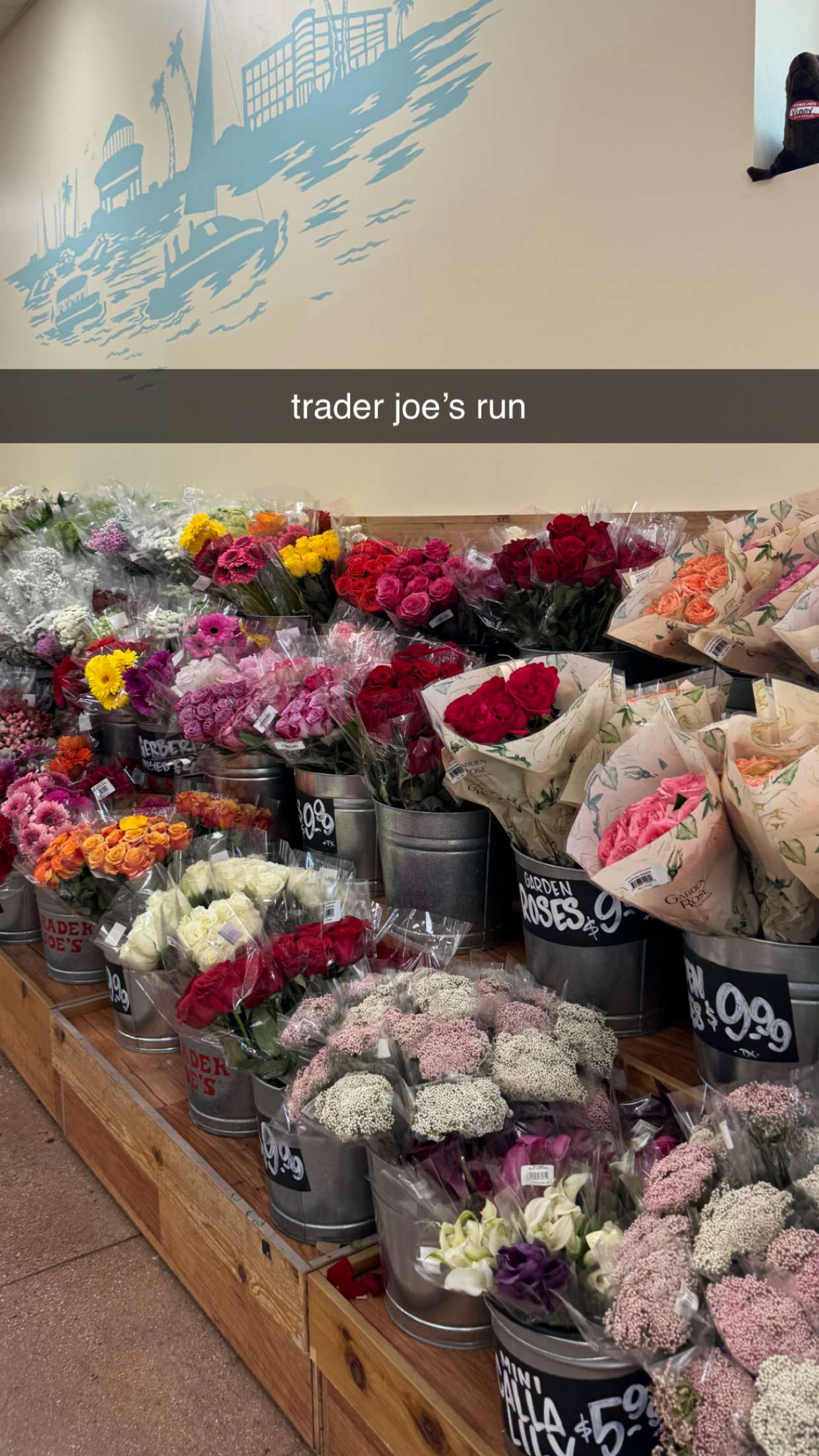 chloerosenbaum snapchat image archive image