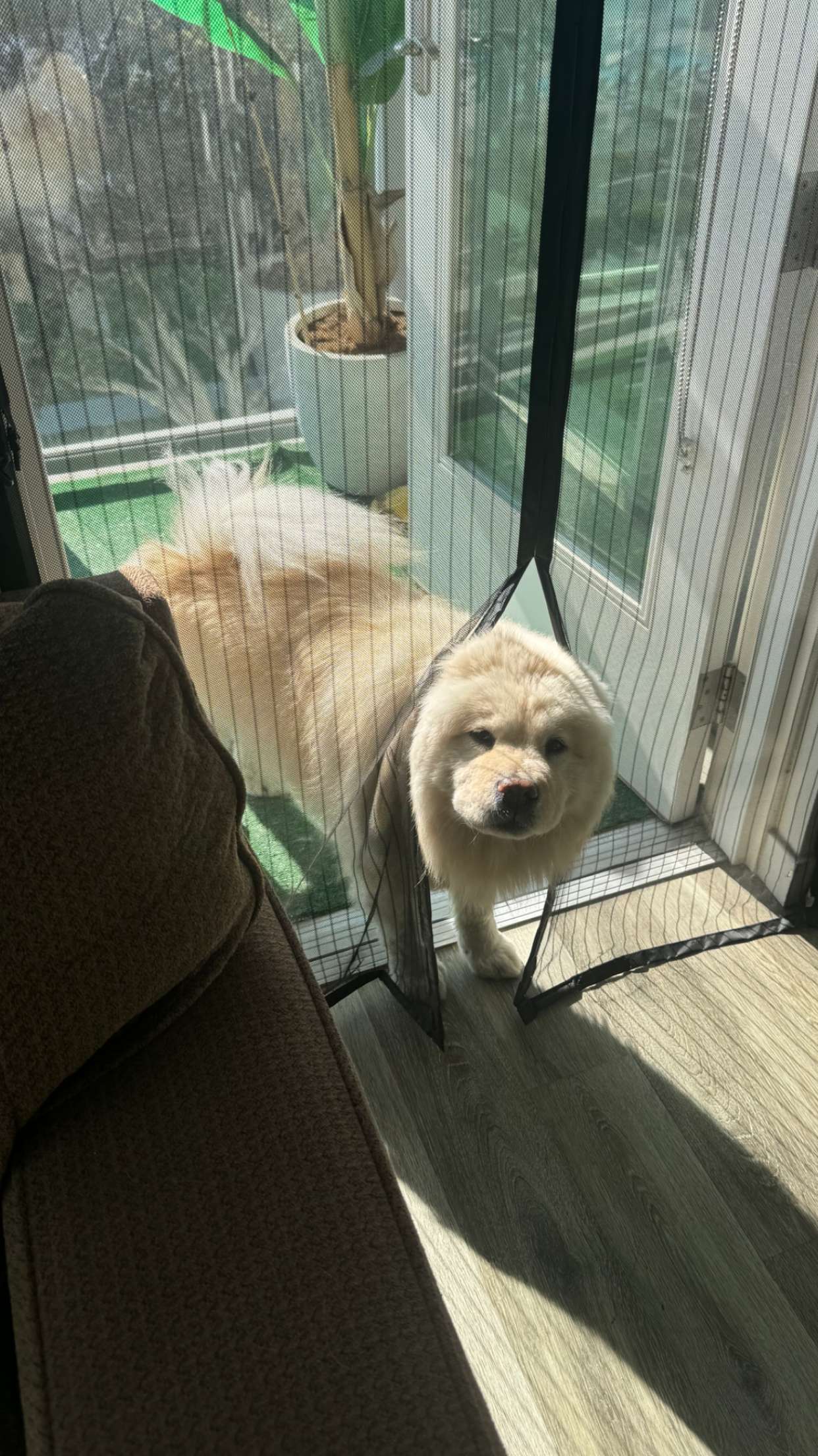 chloerosenbaum snapchat image archive image