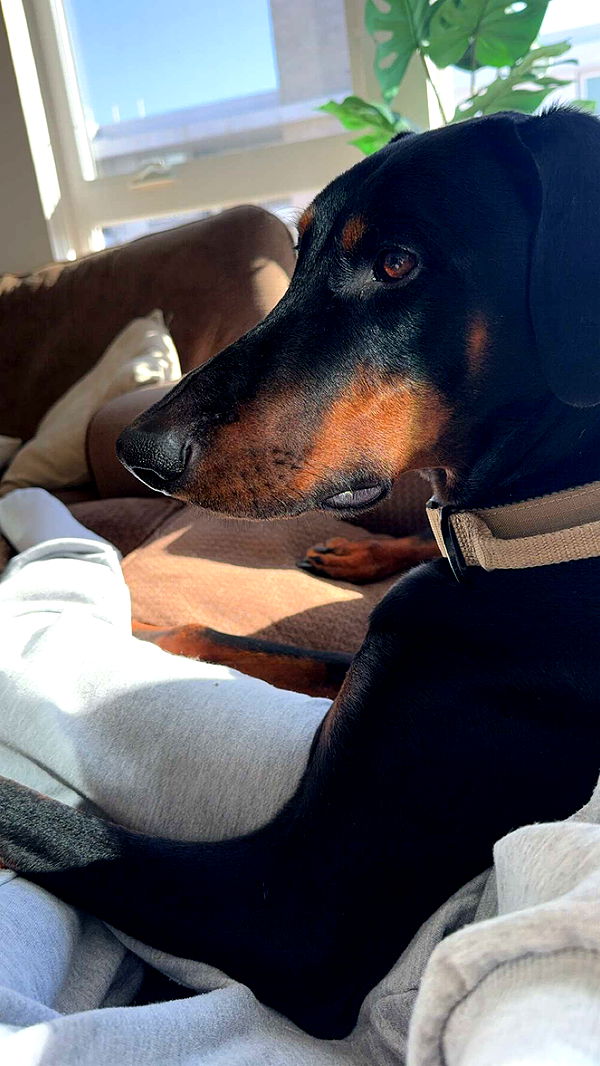 chloerosenbaum image ~ Altpins