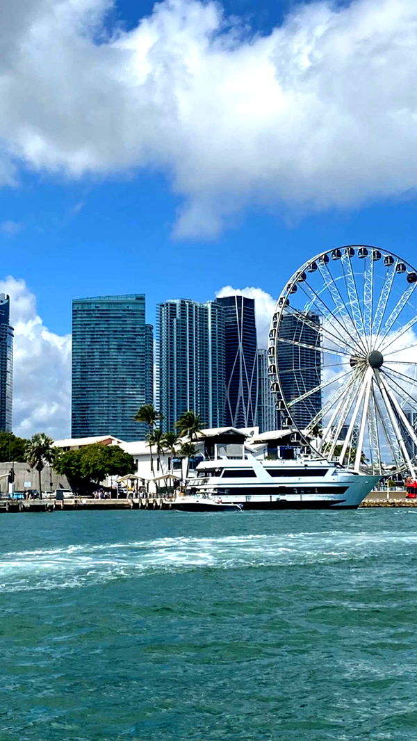 chloerosenbaum image ~ Altpins