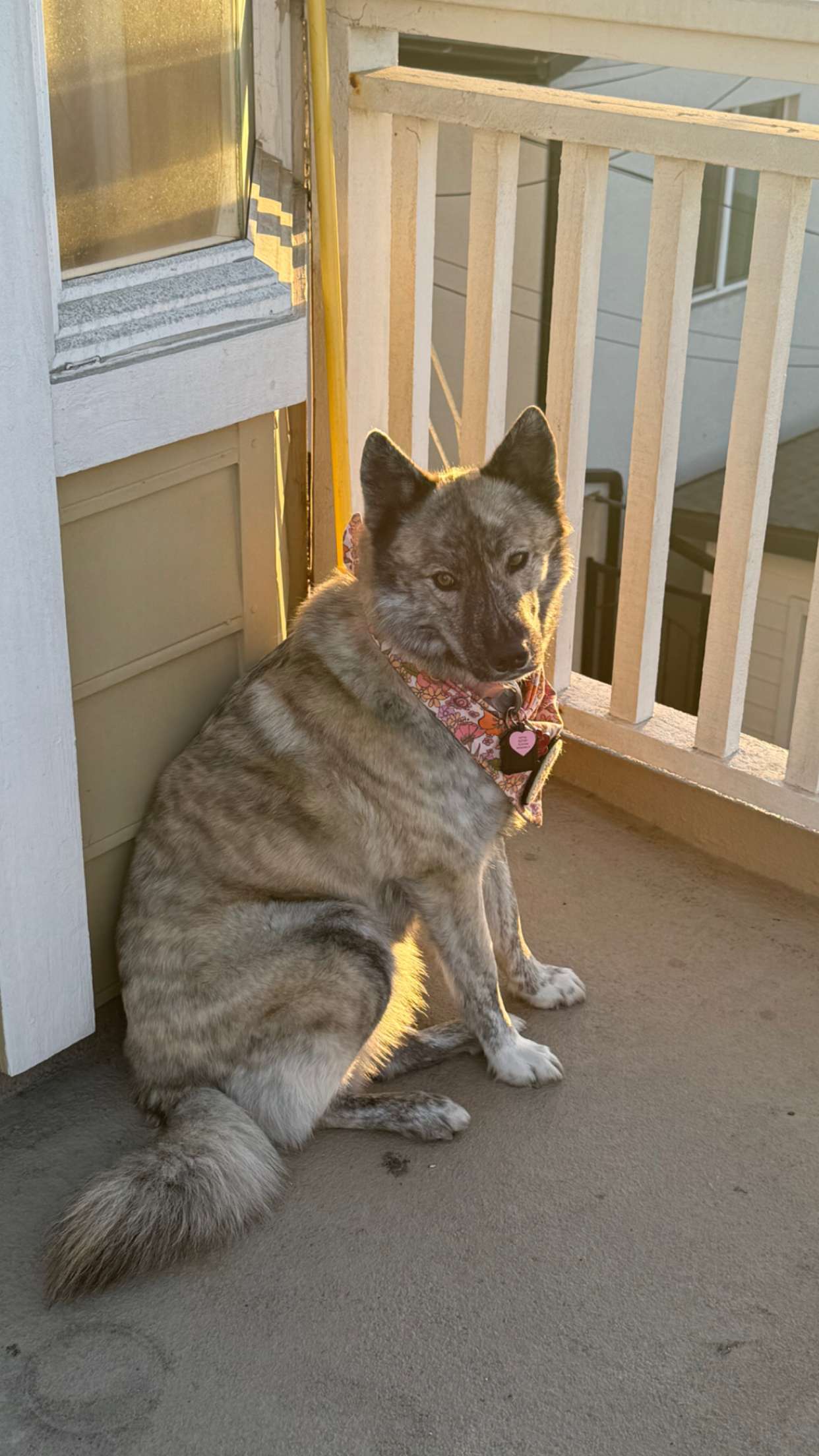 chloerosenbaum snapchat image archive image