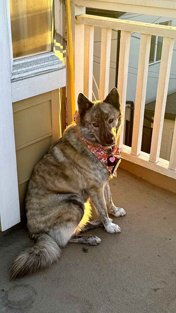 chloerosenbaum image ~ Altpins