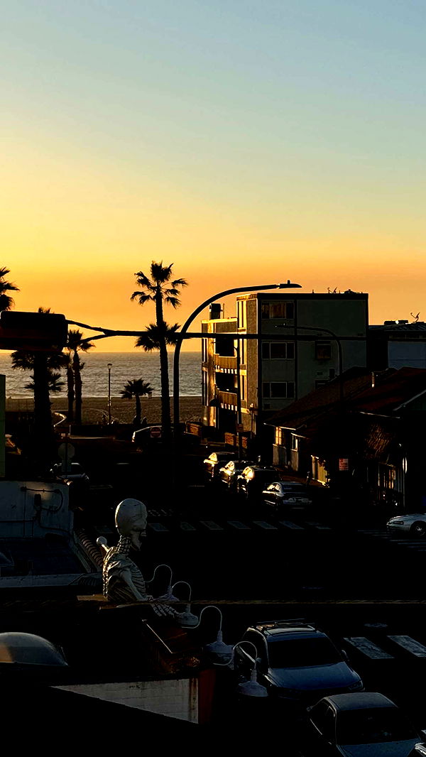 chloerosenbaum image ~ Altpins