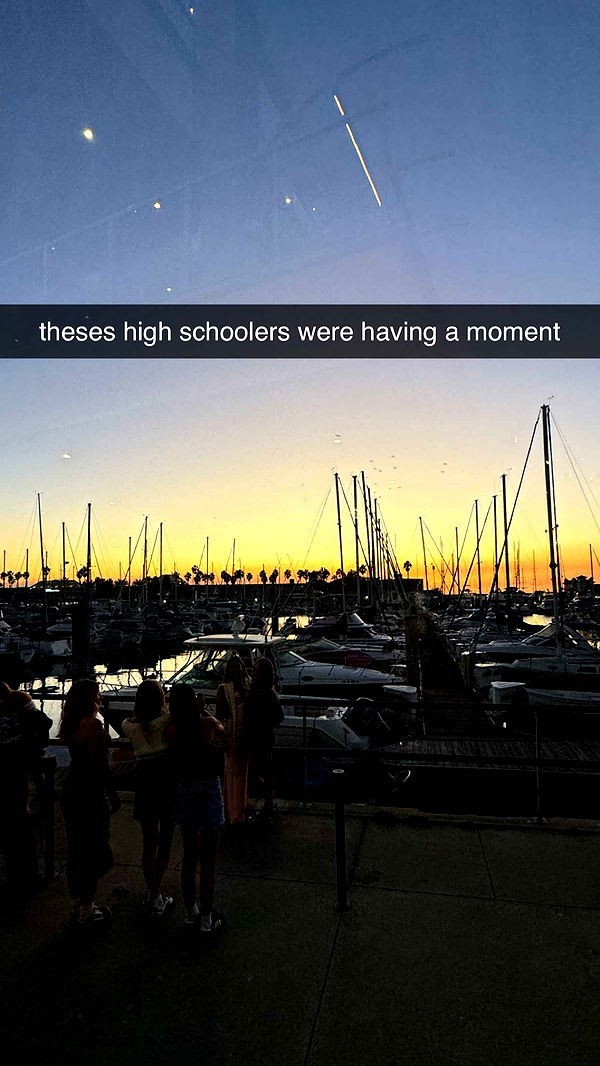 chloerosenbaum image ~ Altpins