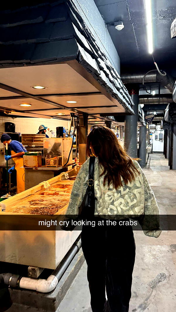 chloerosenbaum image ~ Altpins