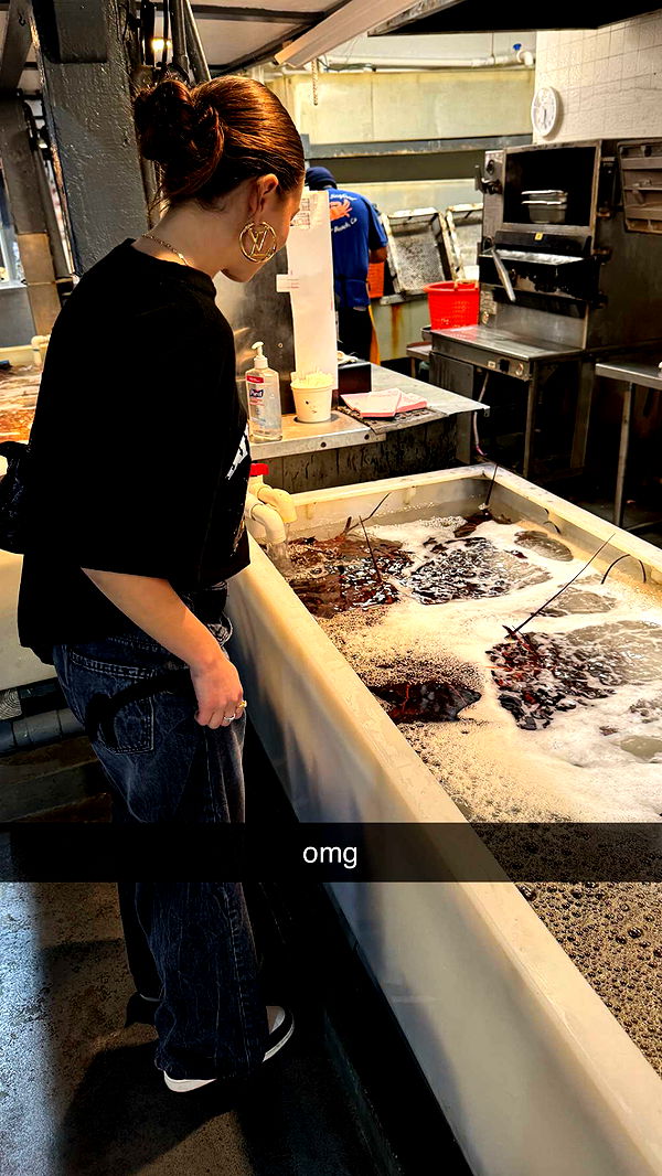 chloerosenbaum image ~ Altpins