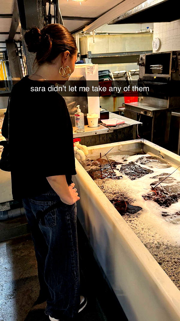 chloerosenbaum image ~ Altpins