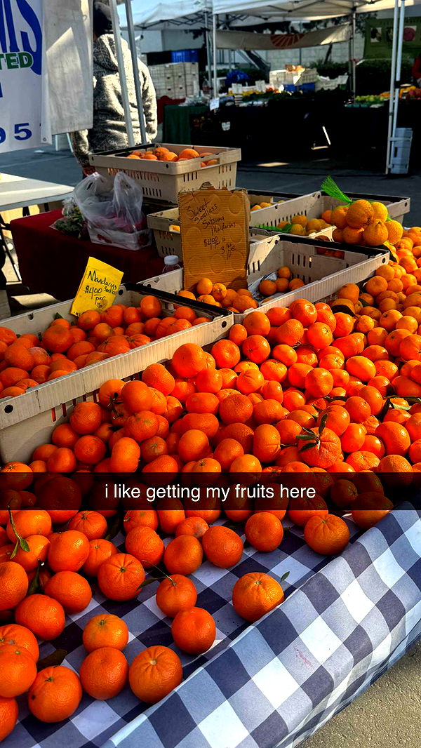 chloerosenbaum image ~ Altpins