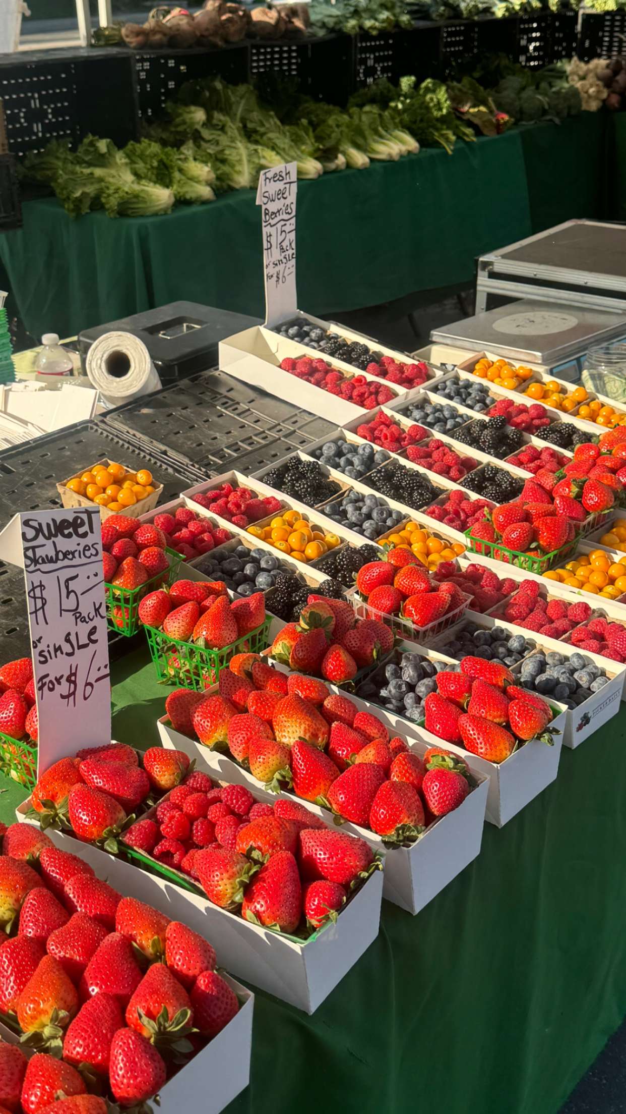 chloerosenbaum snapchat image archive image