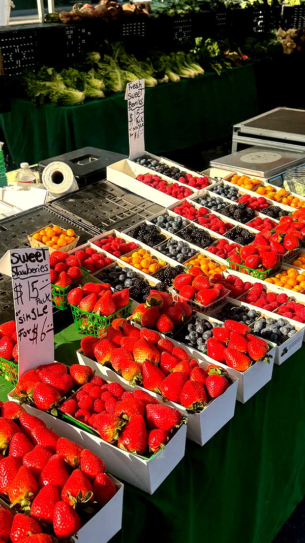 chloerosenbaum image ~ Altpins