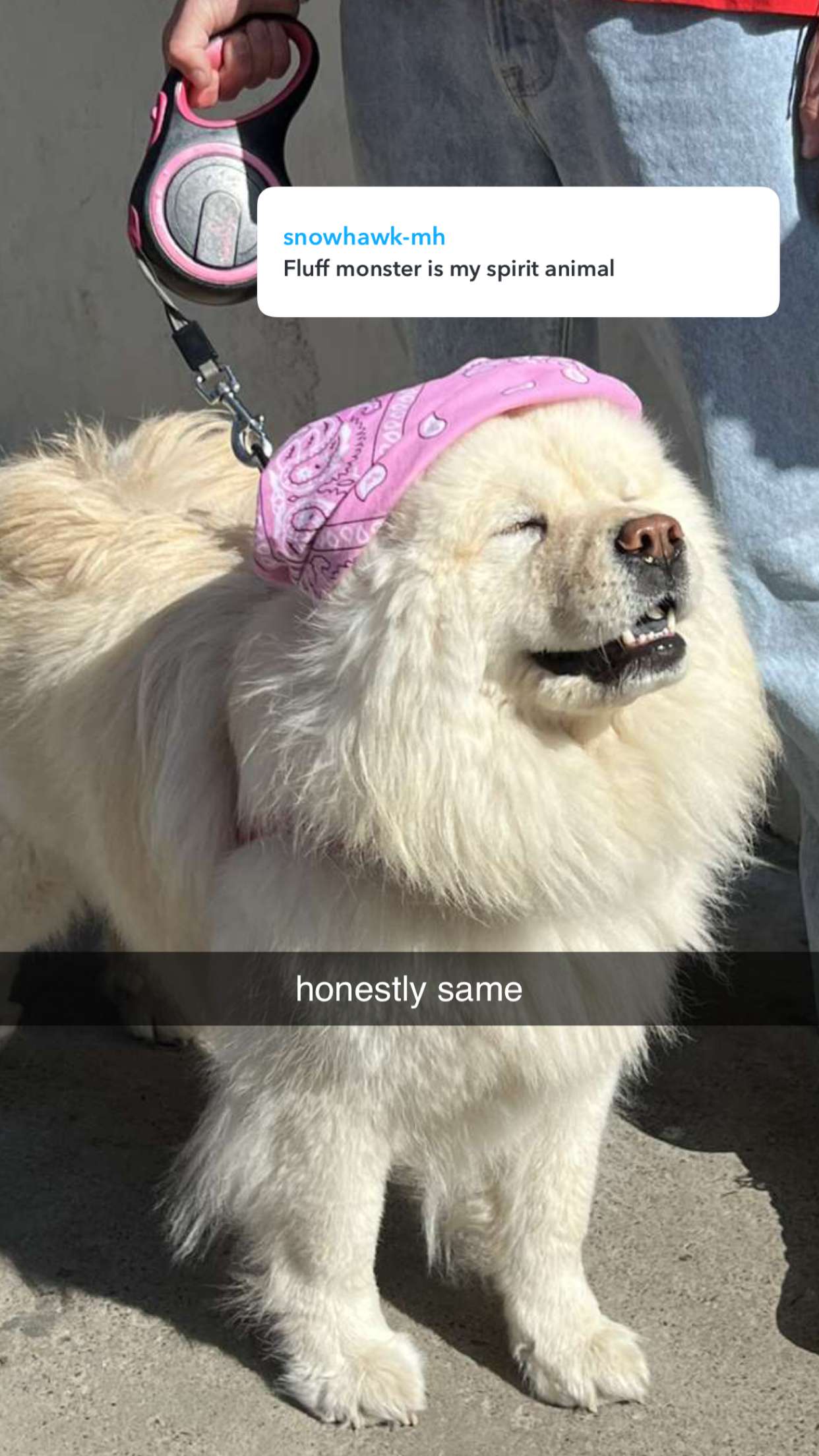 chloerosenbaum snapchat image archive image