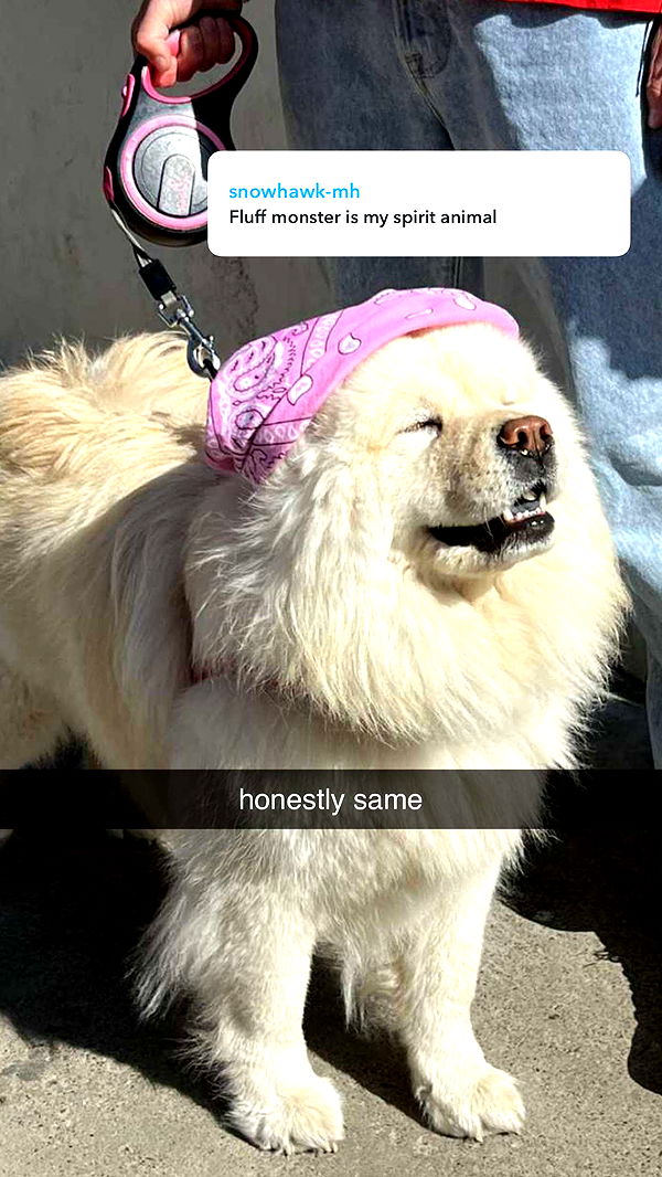 chloerosenbaum image ~ Altpins