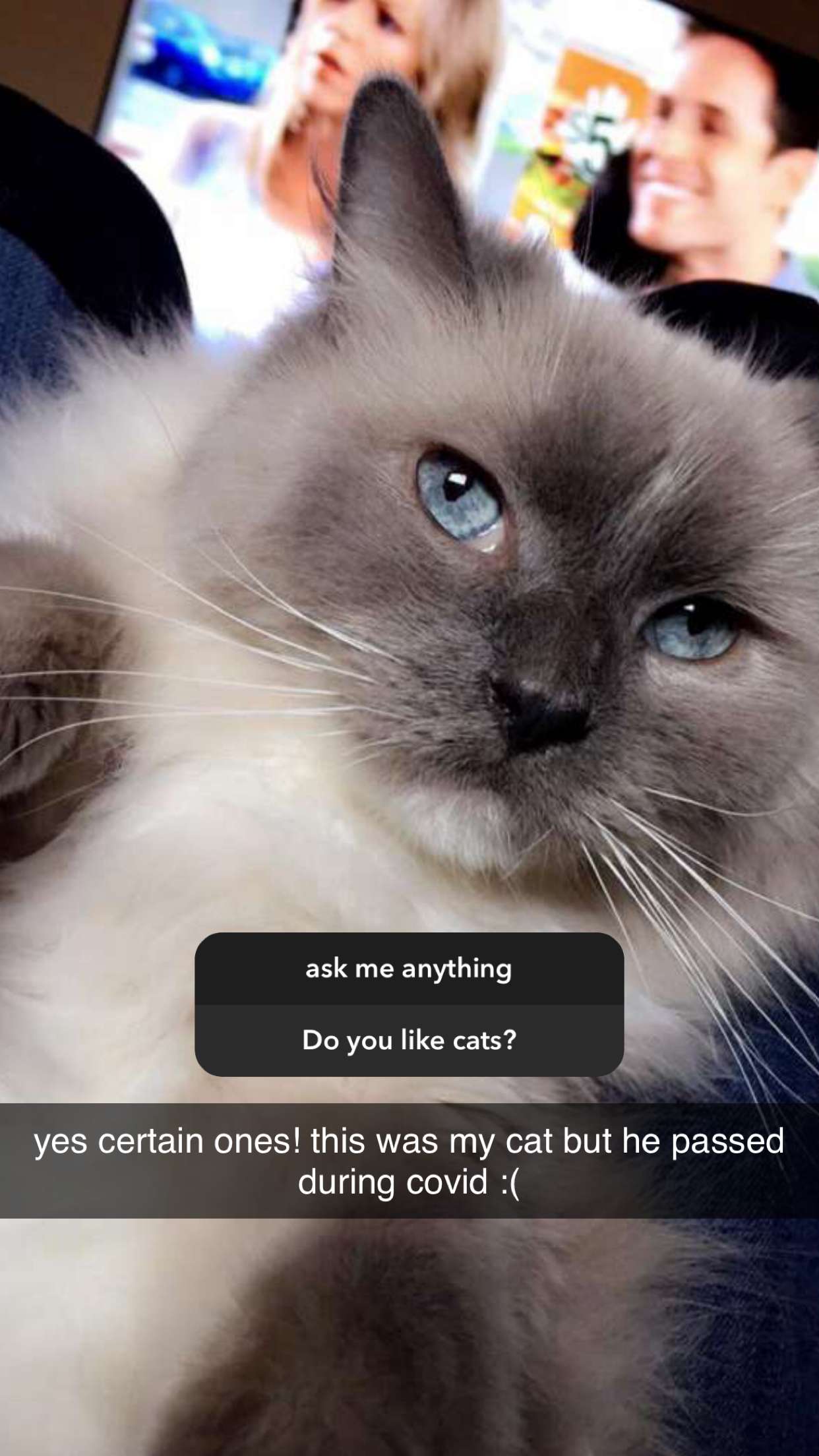 chloerosenbaum snapchat image archive image