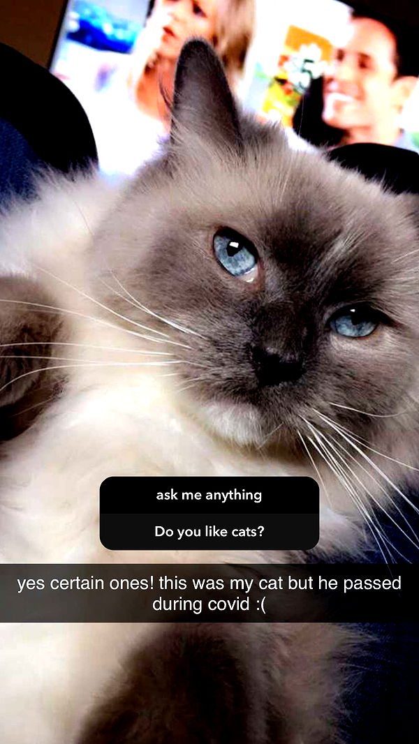 chloerosenbaum image ~ Altpins