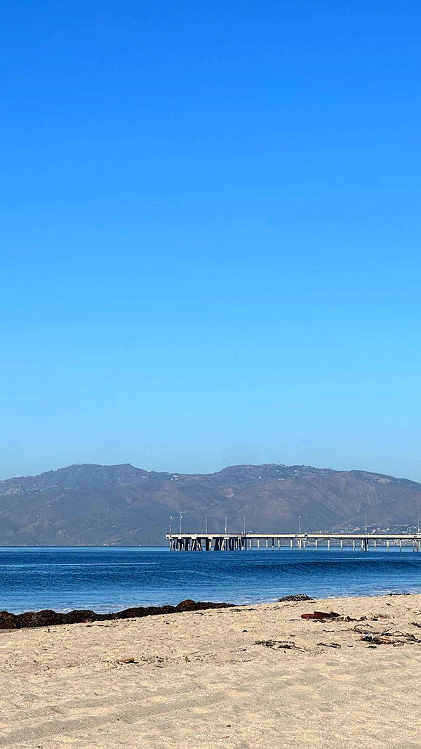 chloerosenbaum image ~ Altpins