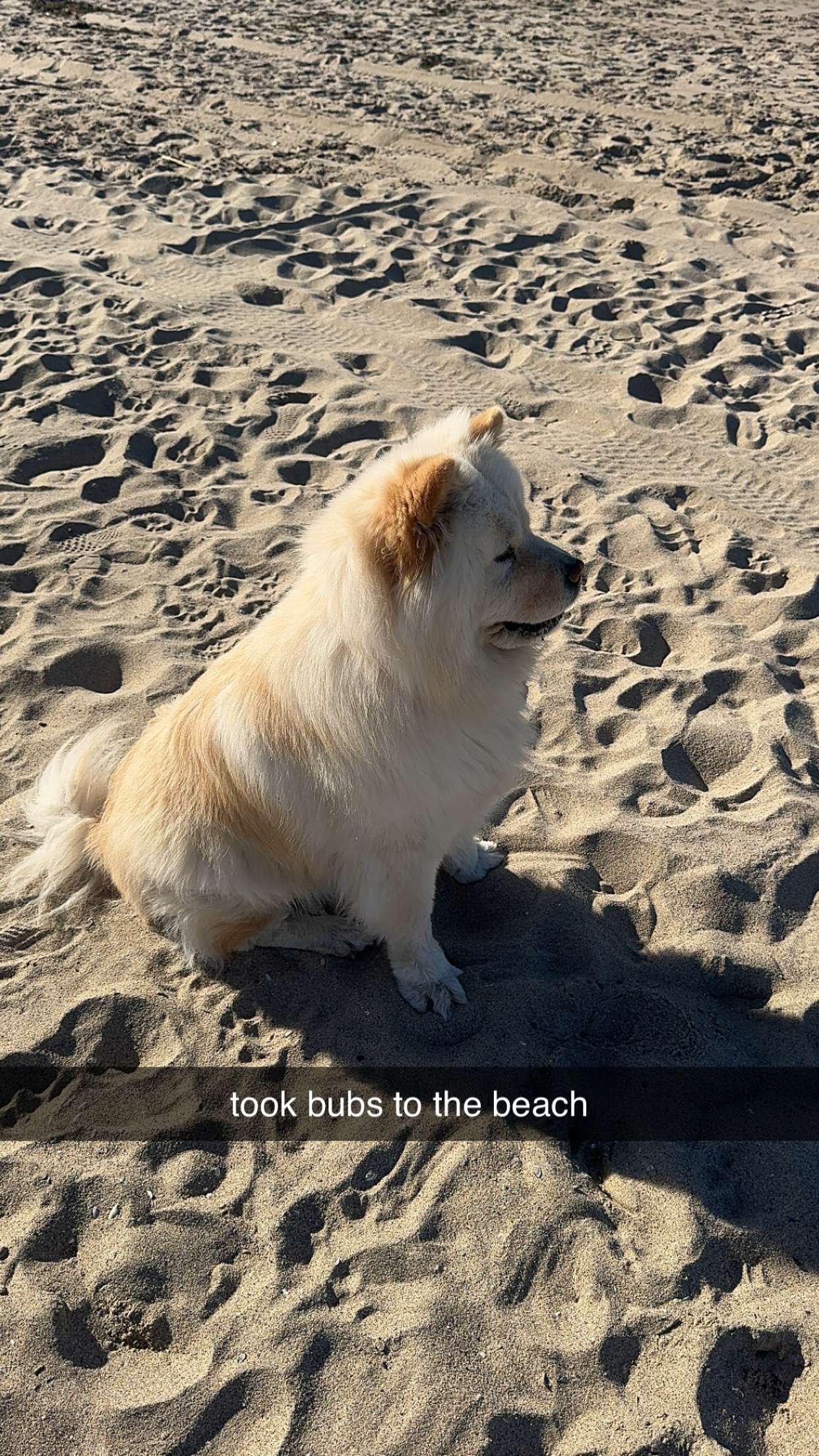 chloerosenbaum snapchat image archive image