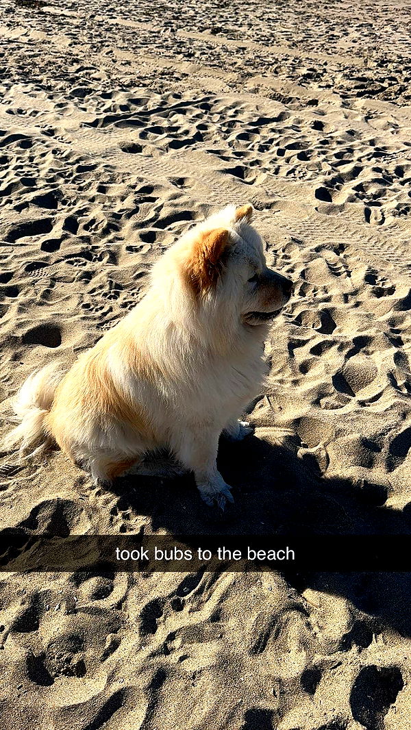 chloerosenbaum image ~ Altpins