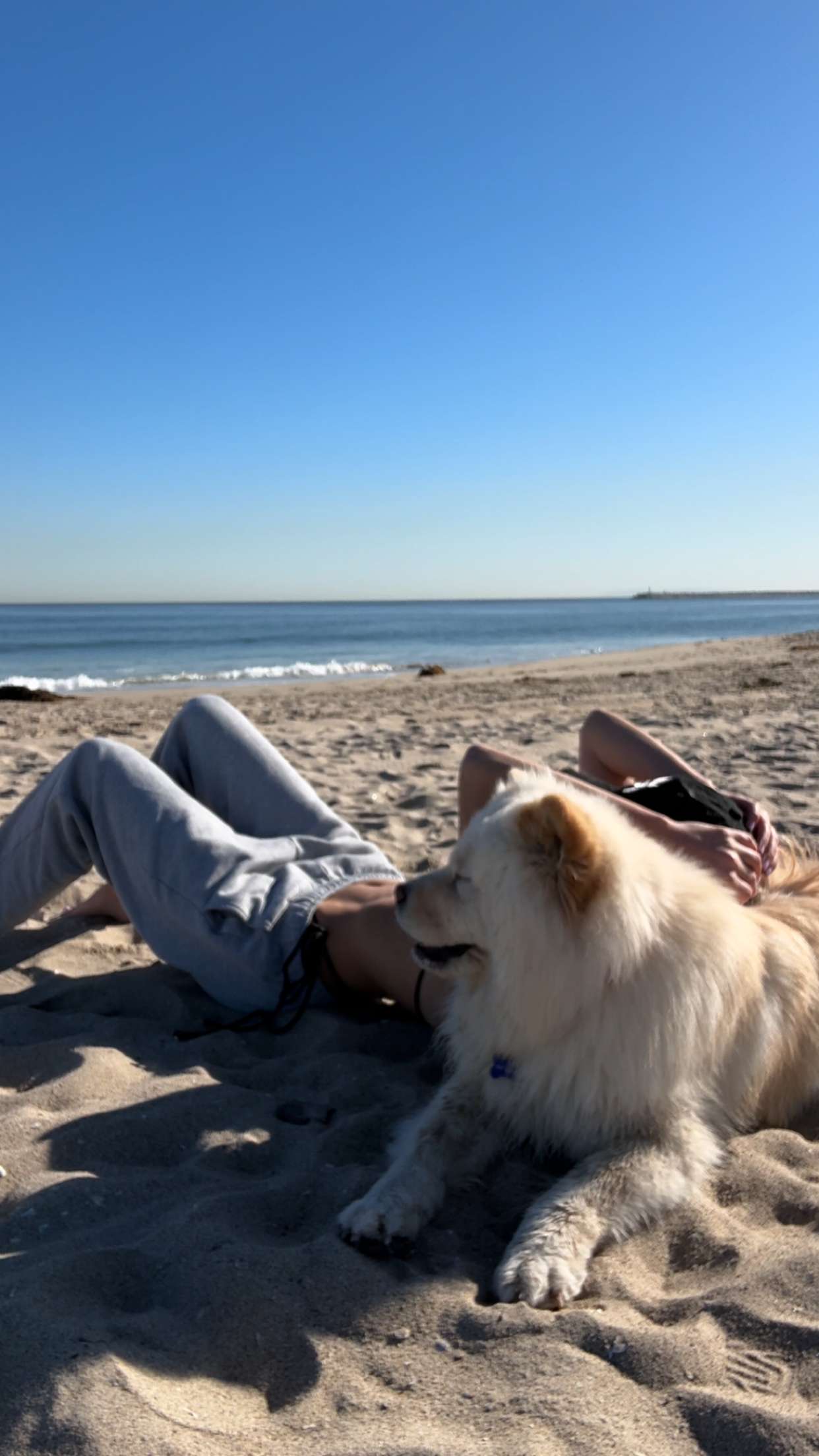 chloerosenbaum snapchat image archive image