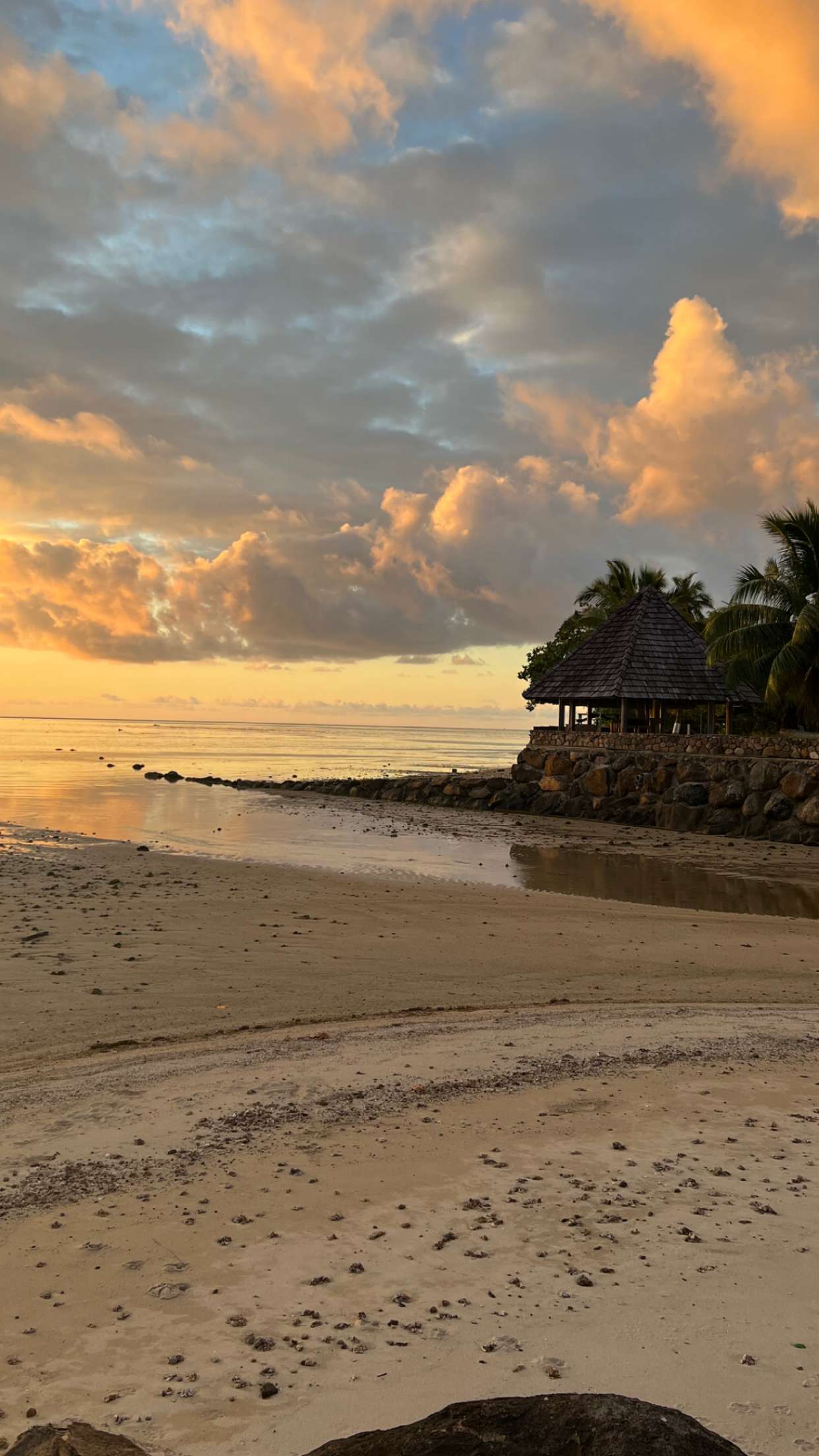 chloerosenbaum snapchat image archive image