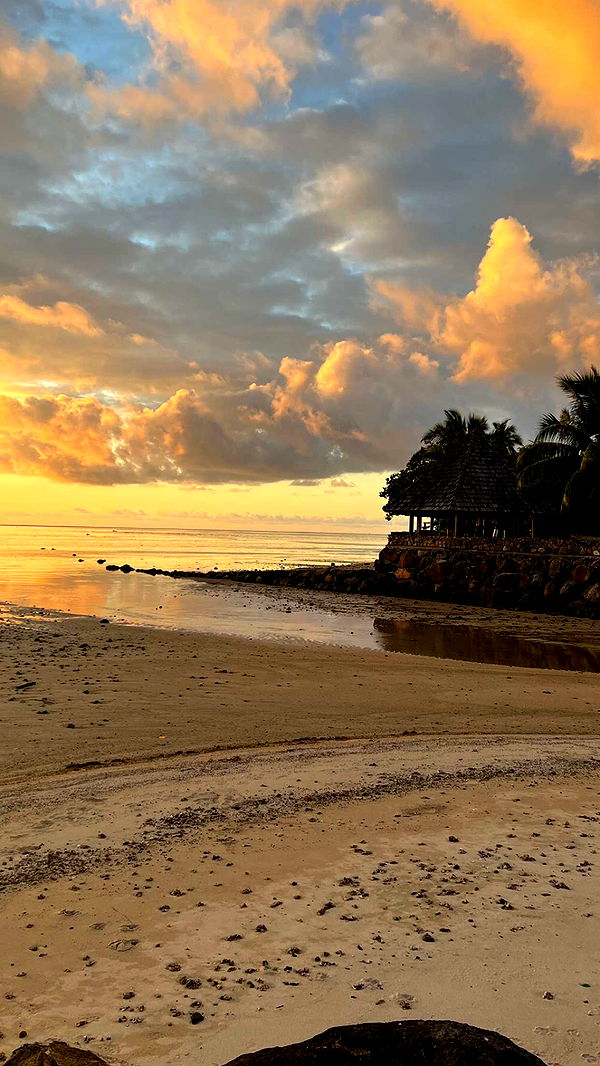 chloerosenbaum image ~ Altpins