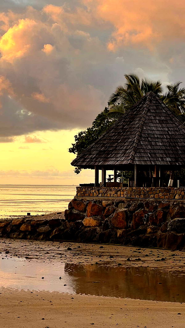 chloerosenbaum image ~ Altpins