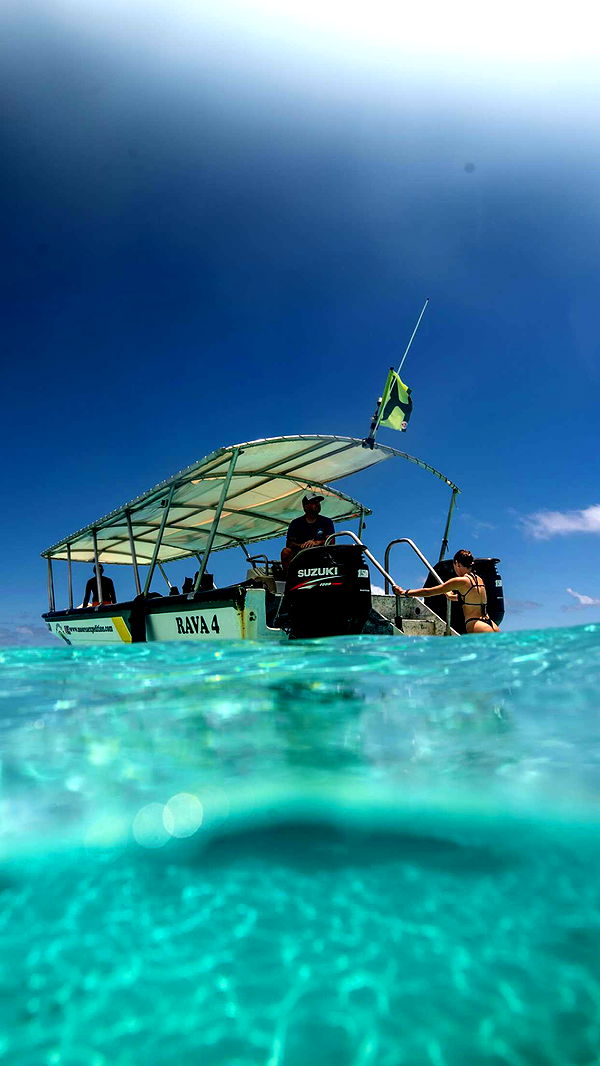 chloerosenbaum image ~ Altpins