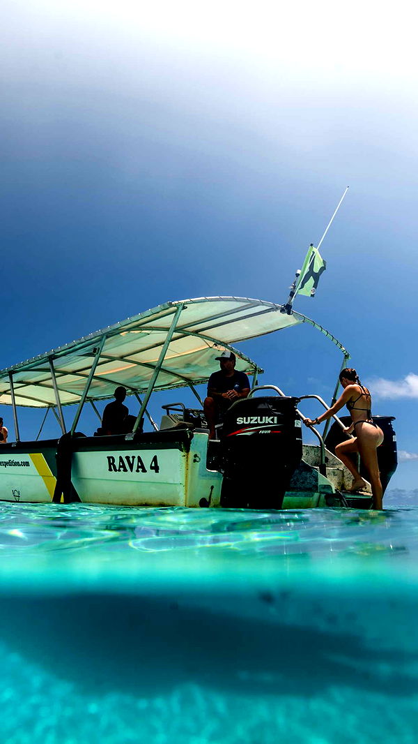 chloerosenbaum image ~ Altpins