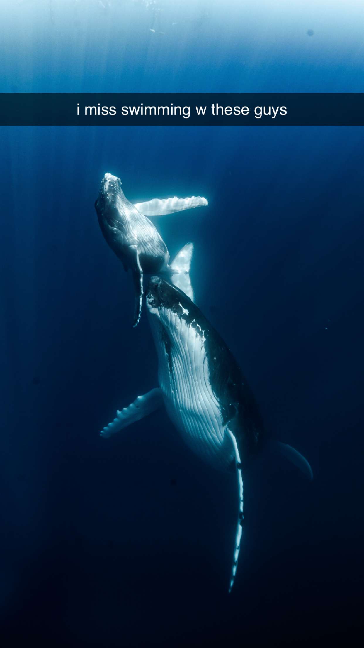 chloerosenbaum snapchat image archive image