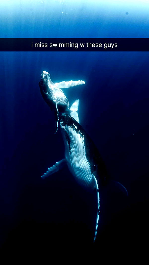 chloerosenbaum image ~ Altpins